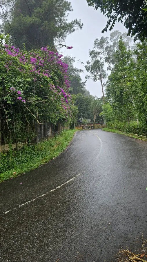 Overcoming Common Challenges in Road Naming Boosts Clarity and Safety